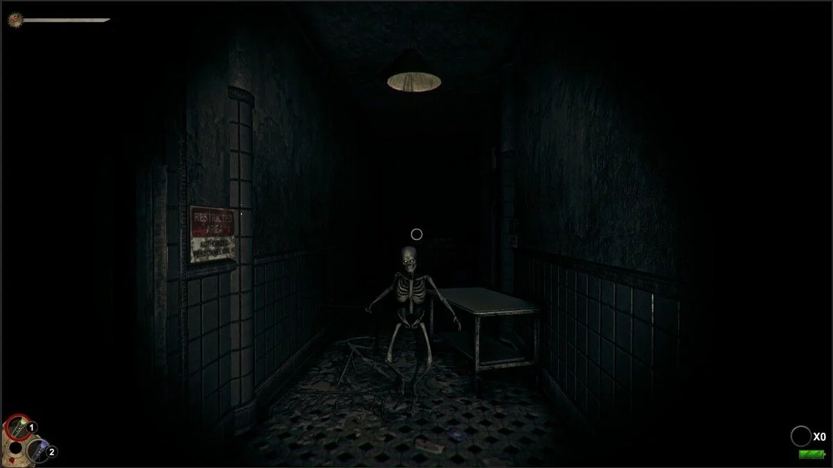 Скриншоты из Horror in the Asylum / Картинка 10