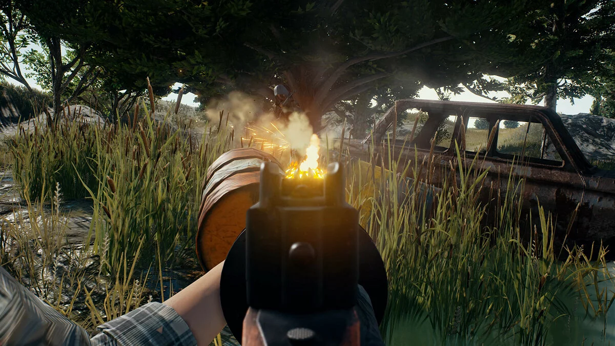 Скриншоты из PUBG: Battlegrounds / Картинка 94