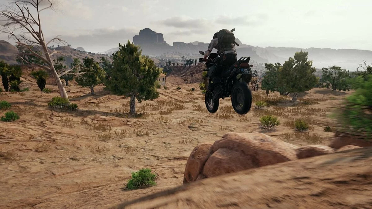 Скриншоты из PUBG: Battlegrounds / Картинка 195