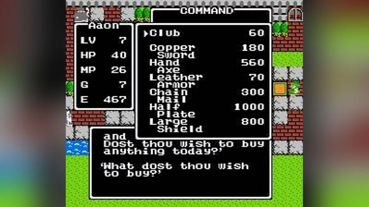 Скриншоты из Dragon Warrior / Картинка 26