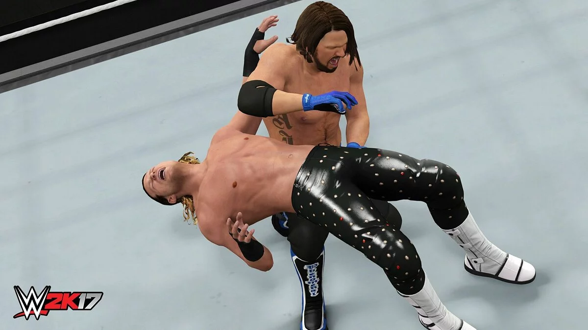 Скриншоты из WWE 2K17 / Картинка 10