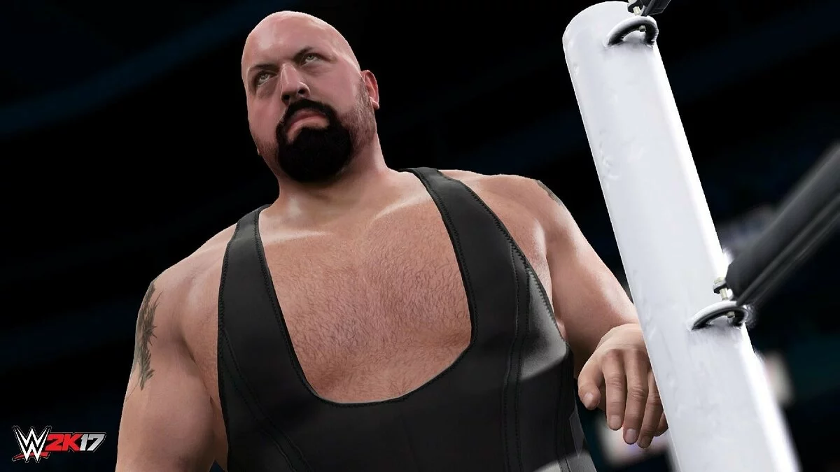 Скриншоты из WWE 2K17 / Картинка 23