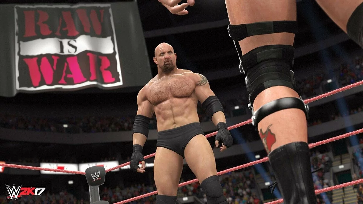 Скриншоты из WWE 2K17 / Картинка 28