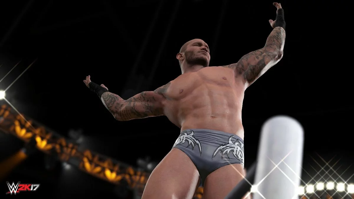 Скриншоты из WWE 2K17 / Картинка 53