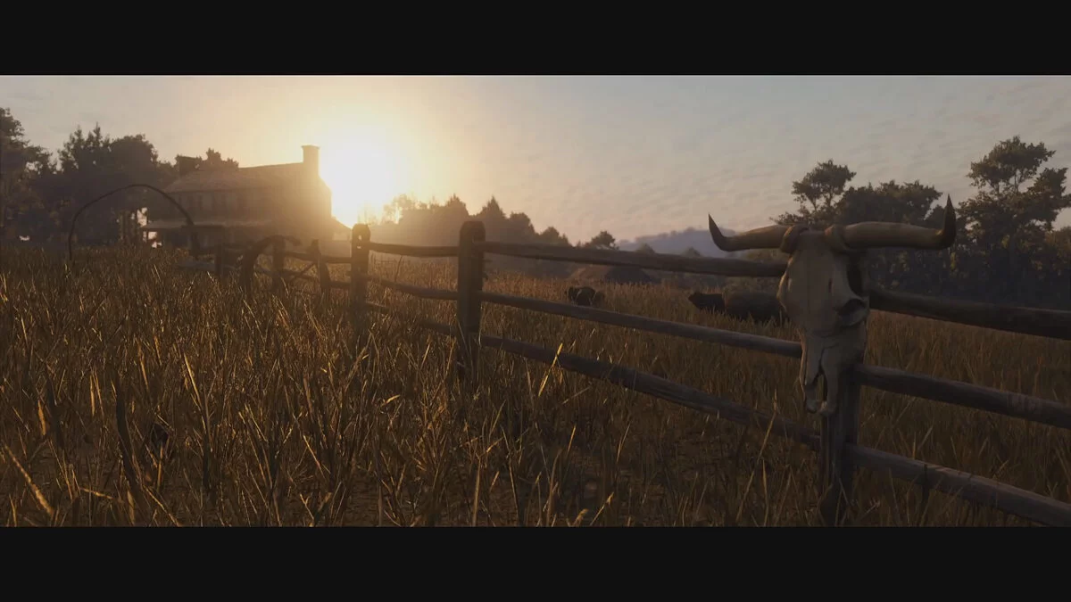 Скриншоты из Red Dead Redemption 2 / Картинка 24