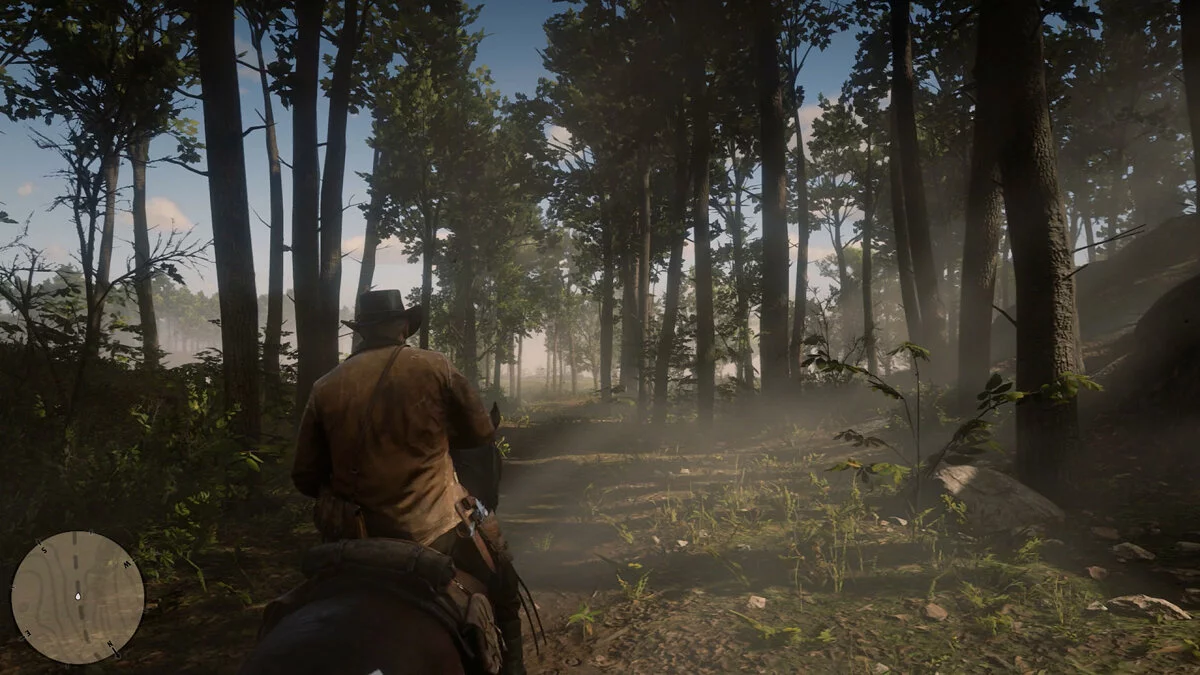 Скриншоты из Red Dead Redemption 2 / Картинка 108
