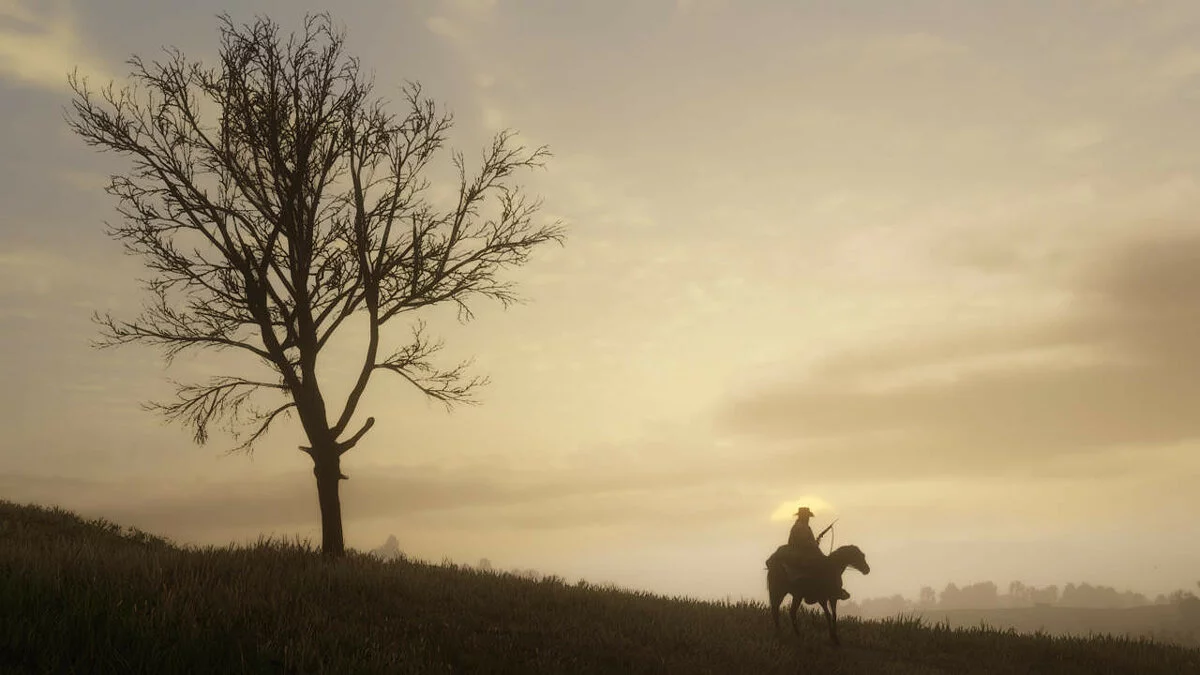 Скриншоты из Red Dead Redemption 2 / Картинка 196