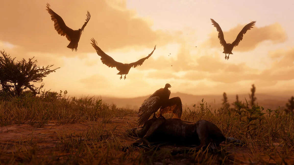 Скриншоты из Red Dead Redemption 2 / Картинка 228