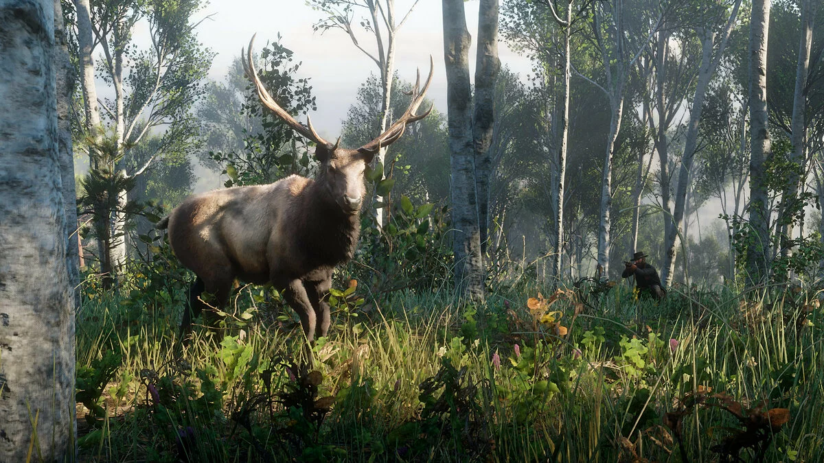 Скриншоты из Red Dead Redemption 2 / Картинка 229