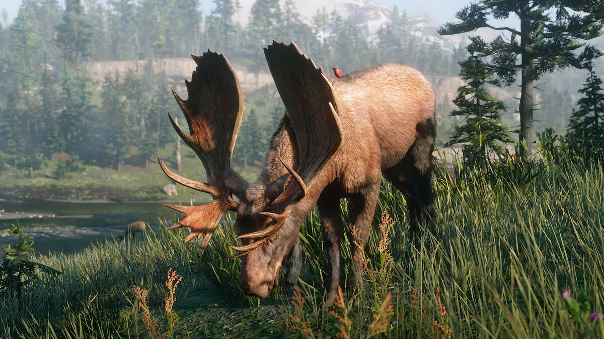 Скриншоты из Red Dead Redemption 2 / Картинка 231