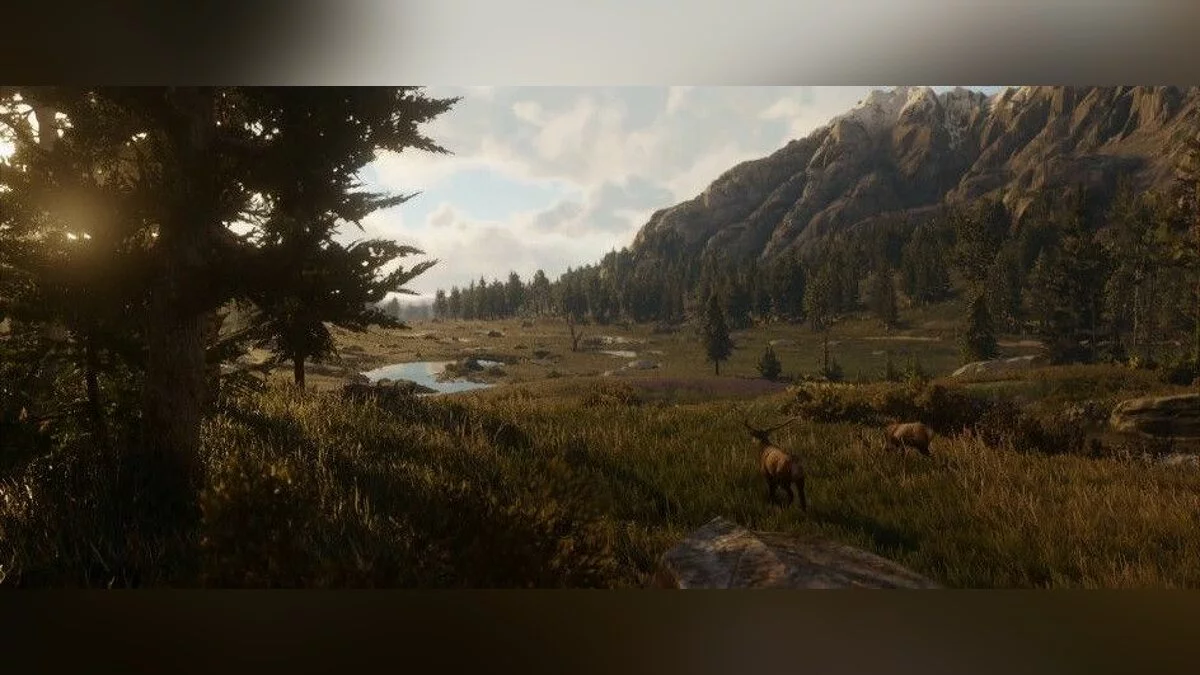 Скриншоты из Red Dead Redemption 2 / Картинка 4