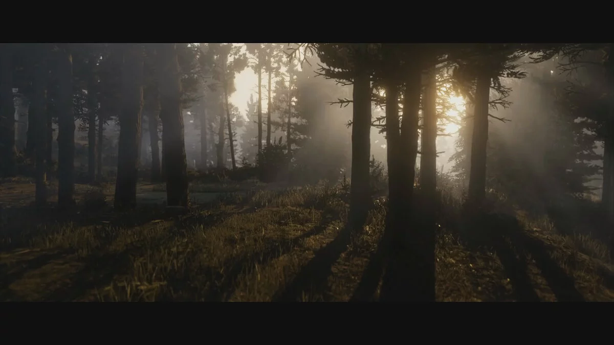 Скриншоты из Red Dead Redemption 2 / Картинка 25