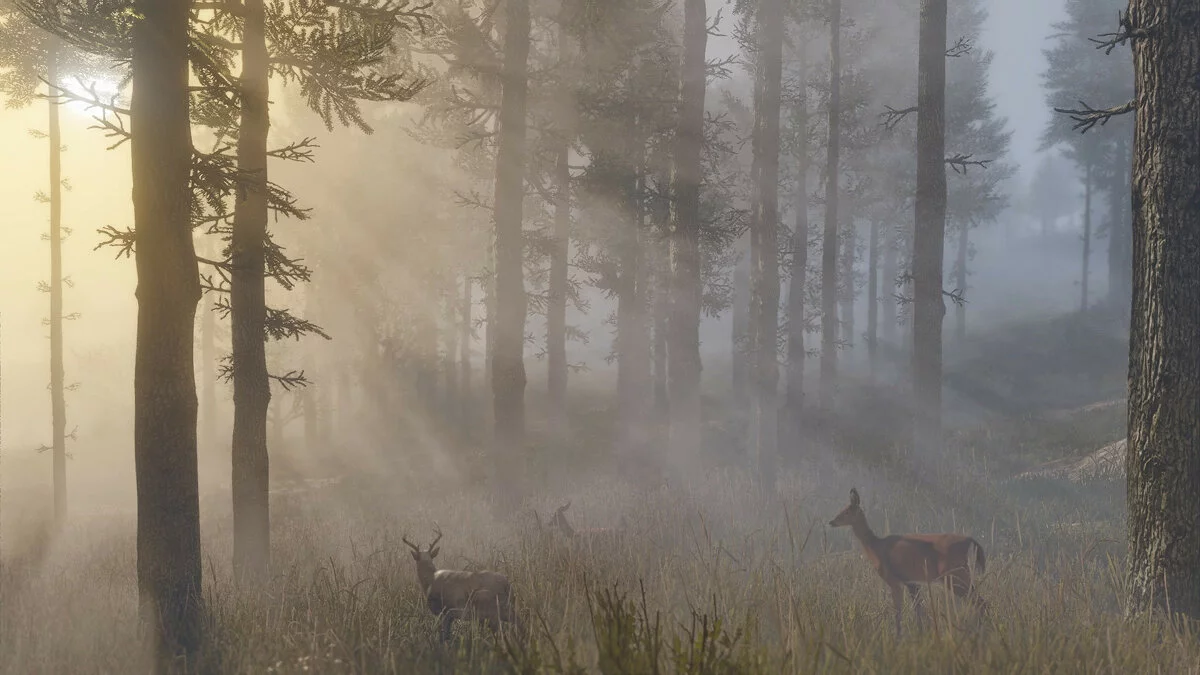 Скриншоты из Red Dead Redemption 2 / Картинка 67