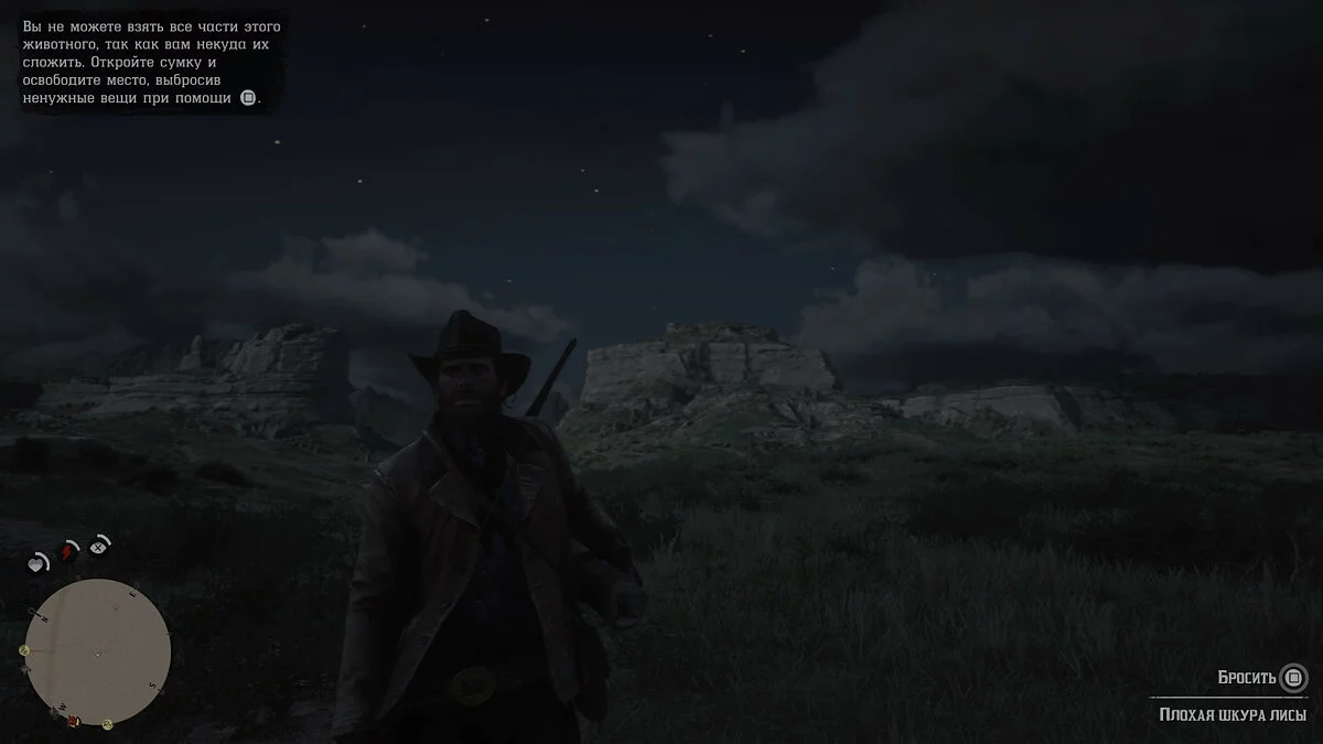 Скриншоты из Red Dead Redemption 2 / Картинка 261