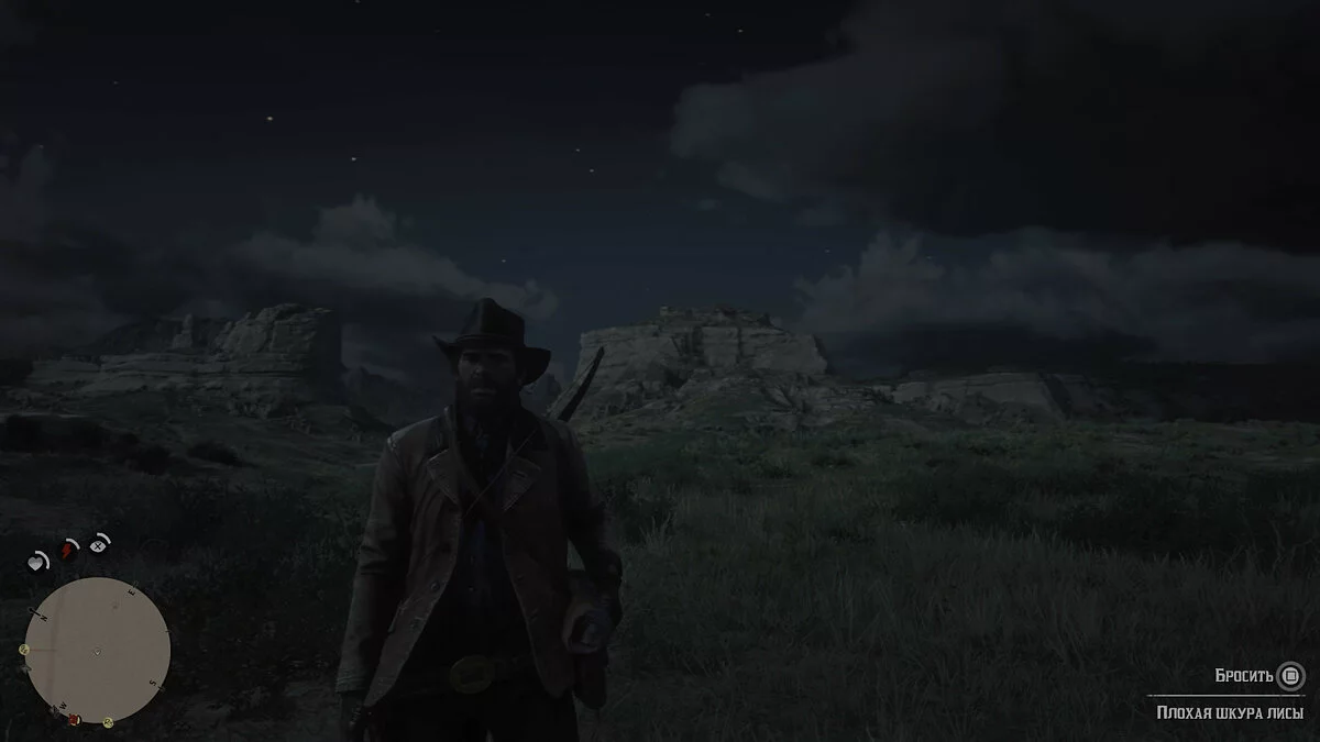 Скриншоты из Red Dead Redemption 2 / Картинка 262