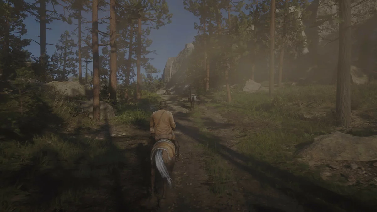 Скриншоты из Red Dead Redemption 2 / Картинка 274