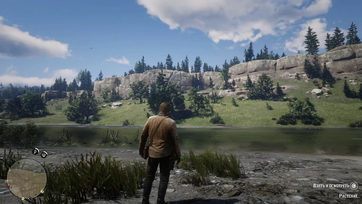 Скриншоты из Red Dead Redemption 2 / Картинка 298
