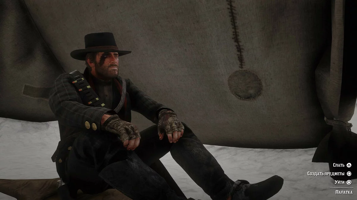 Скриншоты из Red Dead Redemption 2 / Картинка 319
