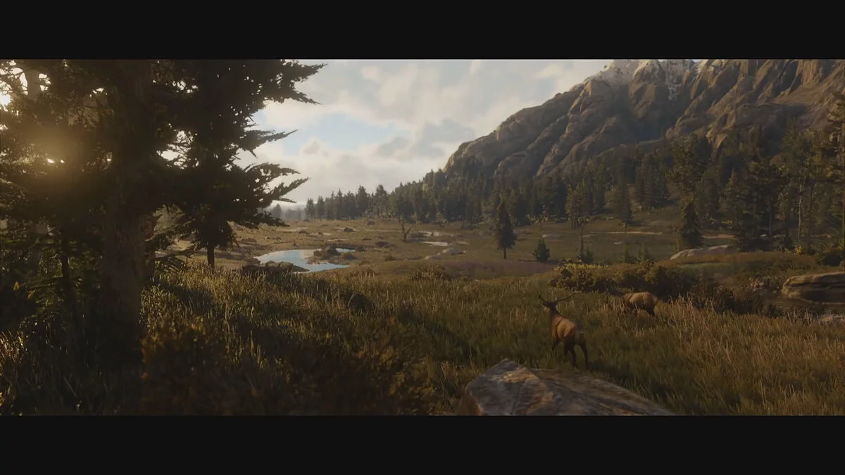 Скриншоты из Red Dead Redemption 2 / Картинка 23