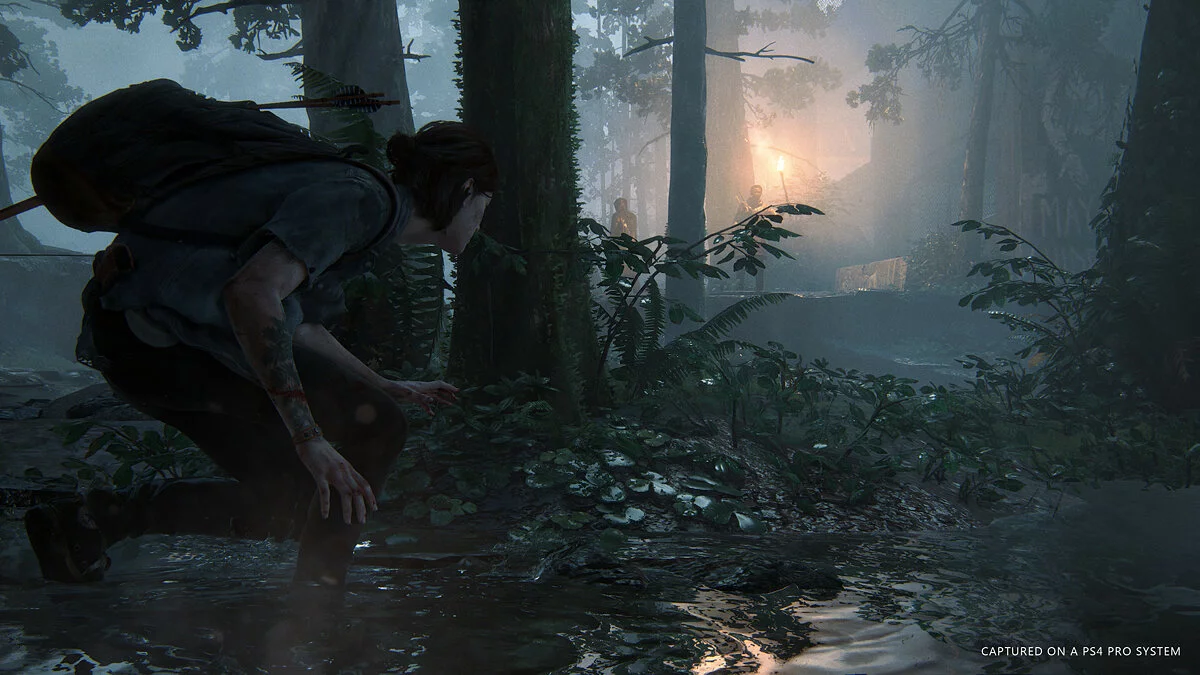 The Last of Us: Part 2 - Новшества игры