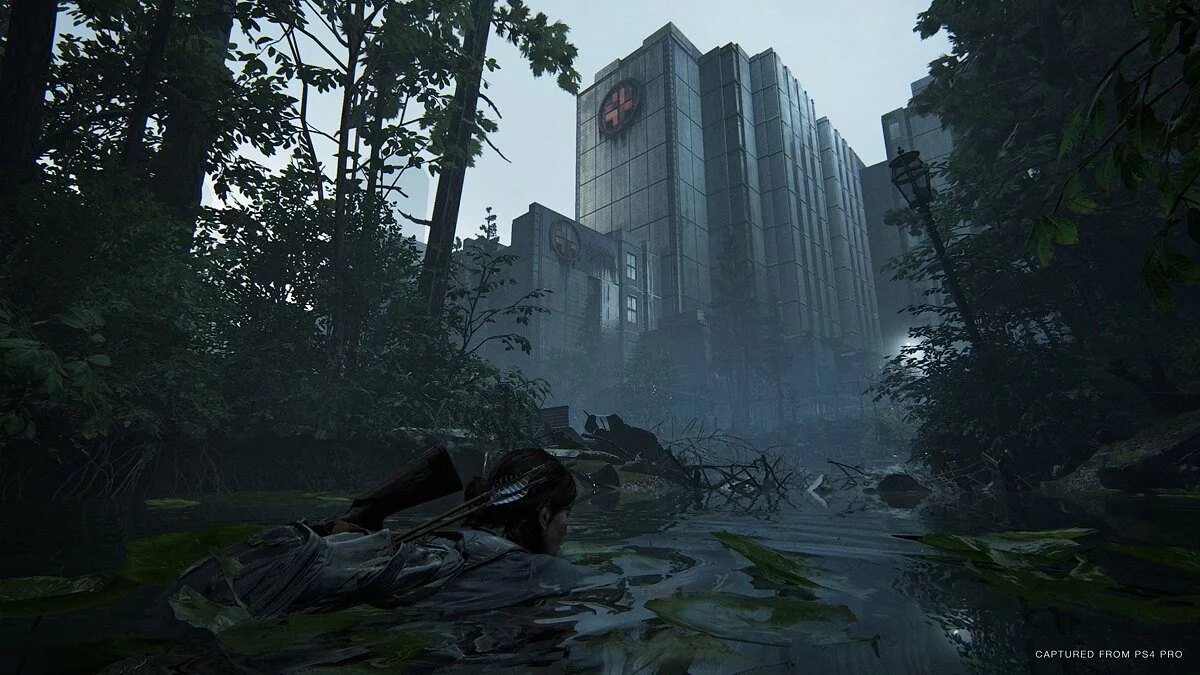 The Last of Us: Part 2 - Важные особенности