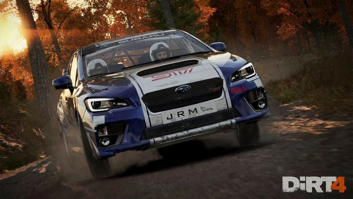 Скриншоты из DiRT 4 / Картинка 10
