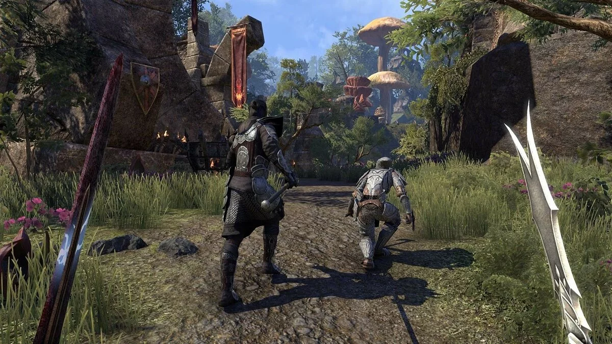 Скриншоты из The Elder Scrolls Online: Morrowind / Картинка 75