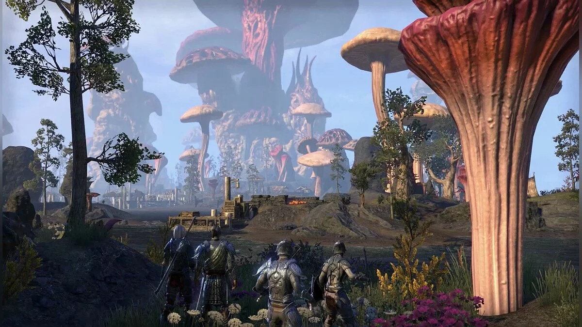 Скриншоты из The Elder Scrolls Online: Morrowind / Картинка 4