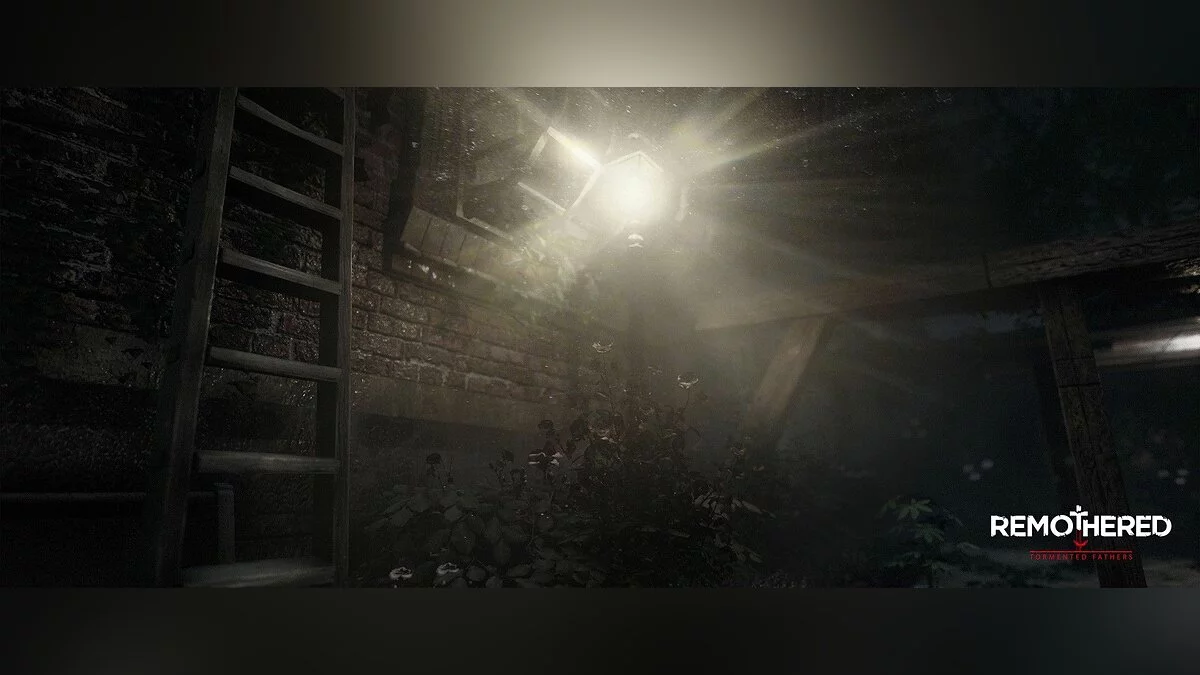 Скриншоты из Remothered: Tormented Fathers / Картинка 24