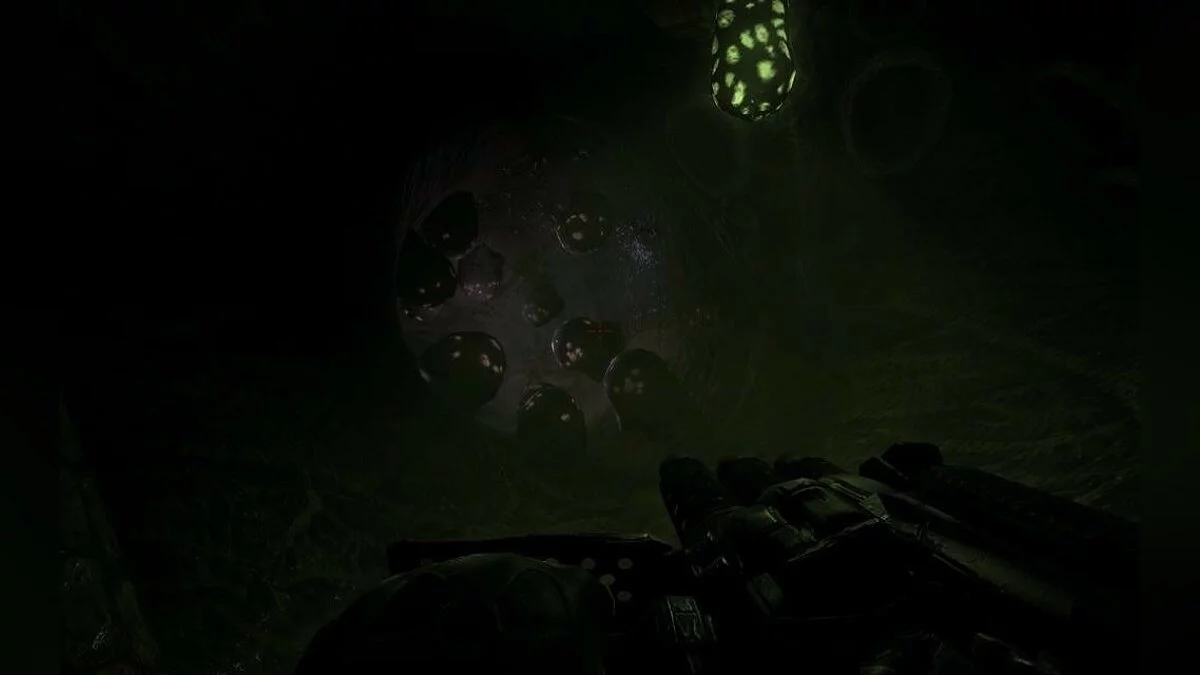 Скриншоты из Duke Nukem Forever / Картинка 72