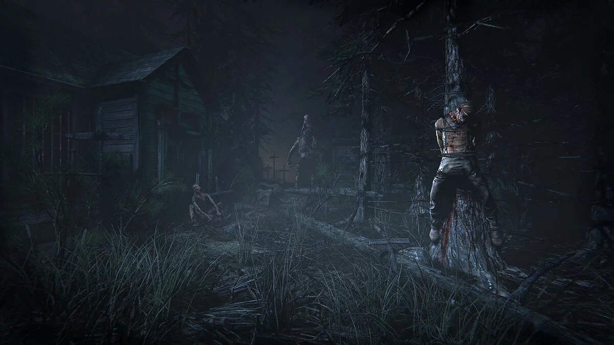 Скриншоты из Outlast 2 / Картинка 101