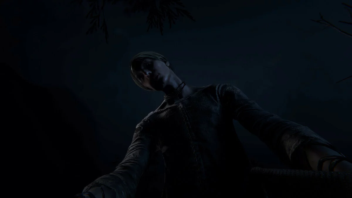 Скриншоты из Outlast 2 / Картинка 29