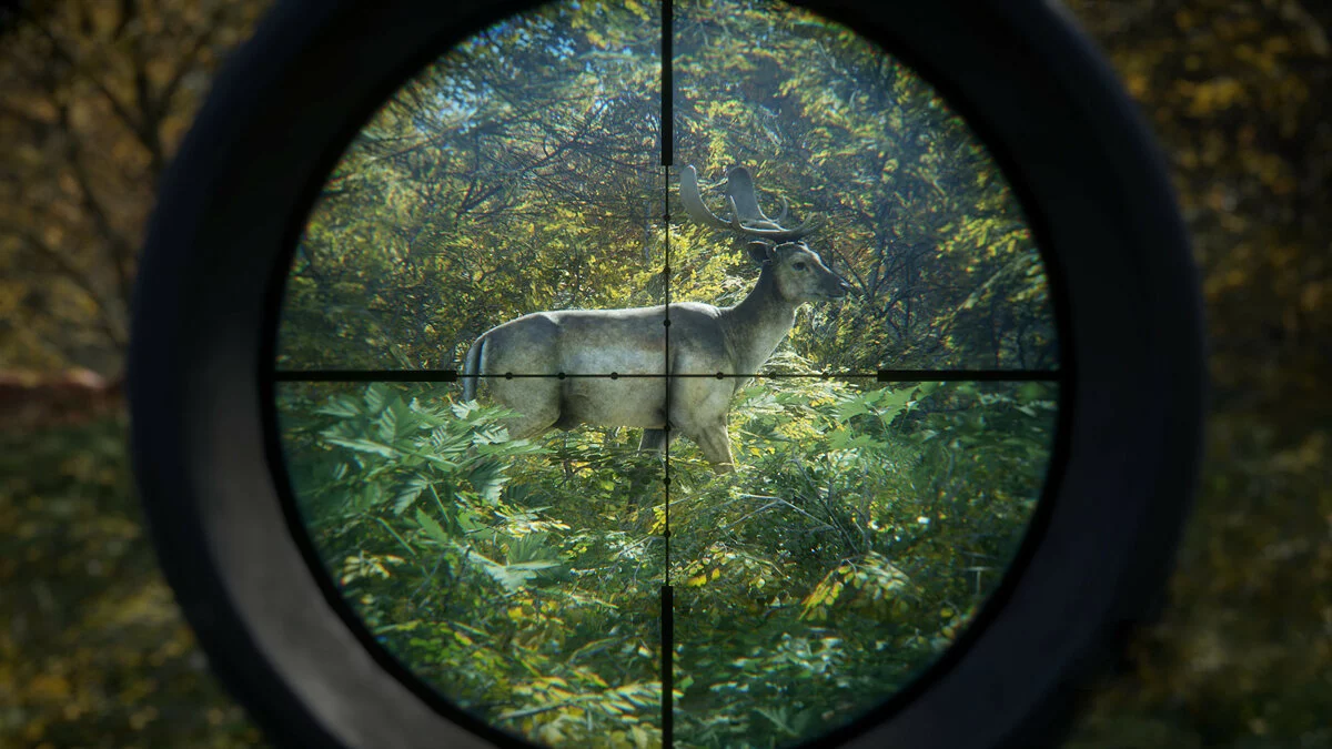 Скриншоты из theHunter: Call of the Wild / Картинка 1