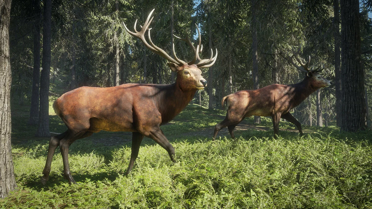 Скриншоты из theHunter: Call of the Wild / Картинка 3