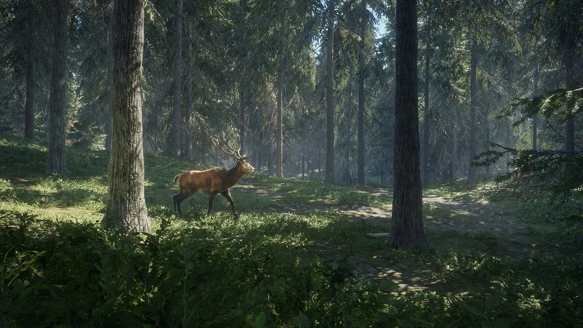 Скриншоты из theHunter: Call of the Wild / Картинка 5