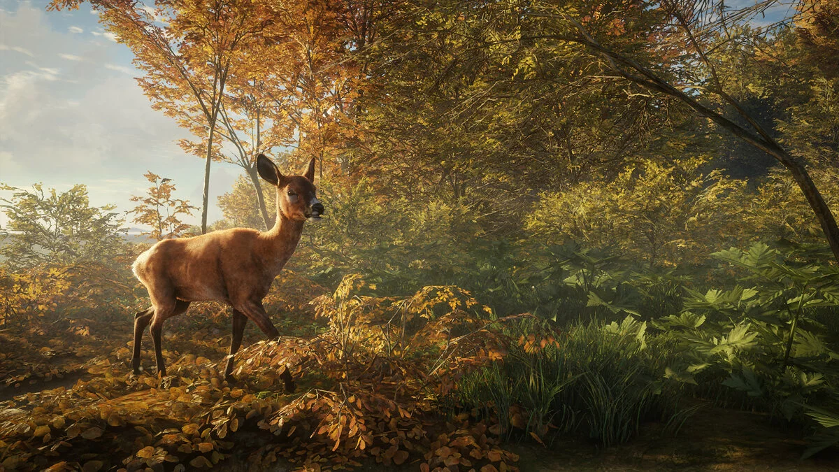 Скриншоты из theHunter: Call of the Wild / Картинка 7