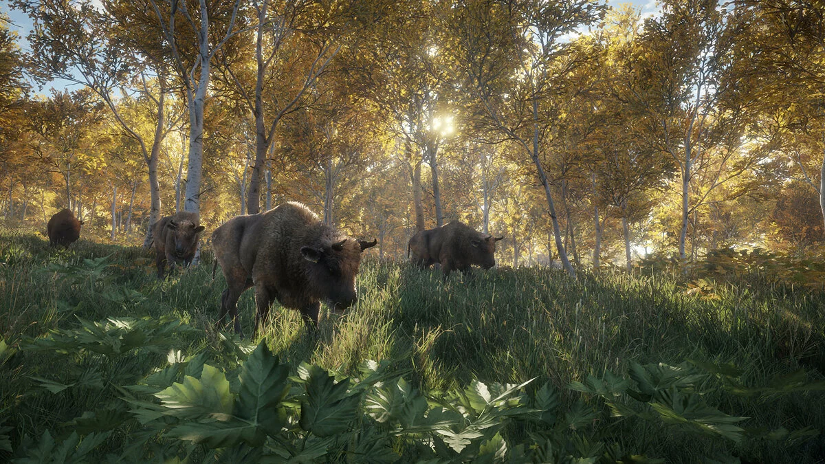 Скриншоты из theHunter: Call of the Wild / Картинка 9