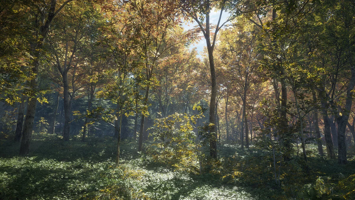Скриншоты из theHunter: Call of the Wild / Картинка 13