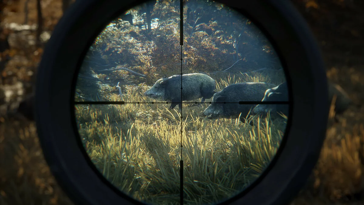 Скриншоты из theHunter: Call of the Wild / Картинка 14