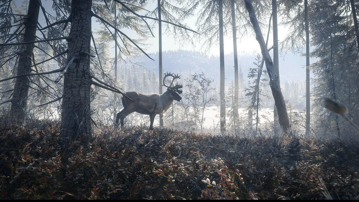 Скриншоты из theHunter: Call of the Wild / Картинка 19