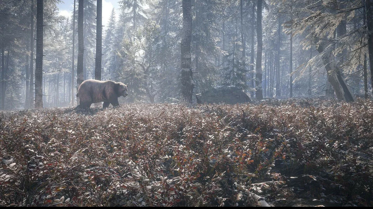 Скриншоты из theHunter: Call of the Wild / Картинка 21