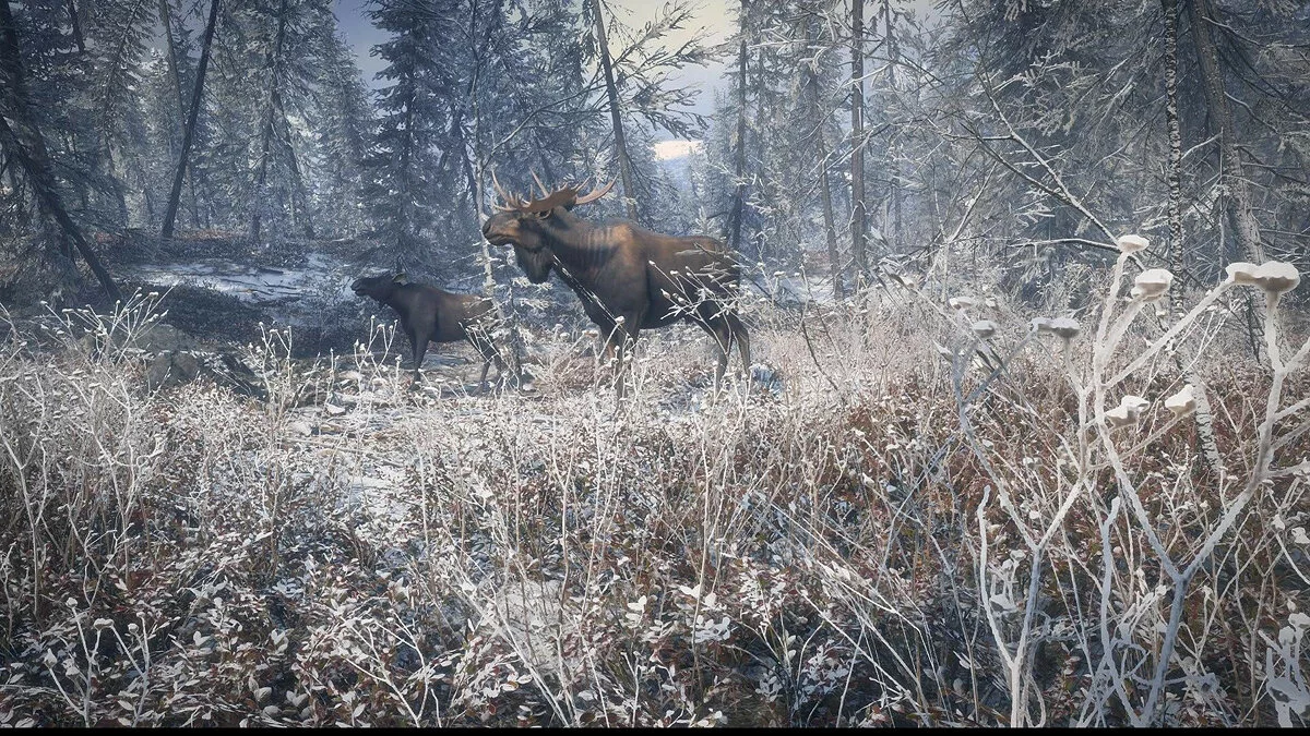 Скриншоты из theHunter: Call of the Wild / Картинка 22
