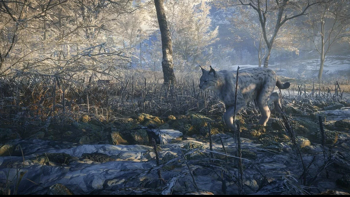 Скриншоты из theHunter: Call of the Wild / Картинка 23