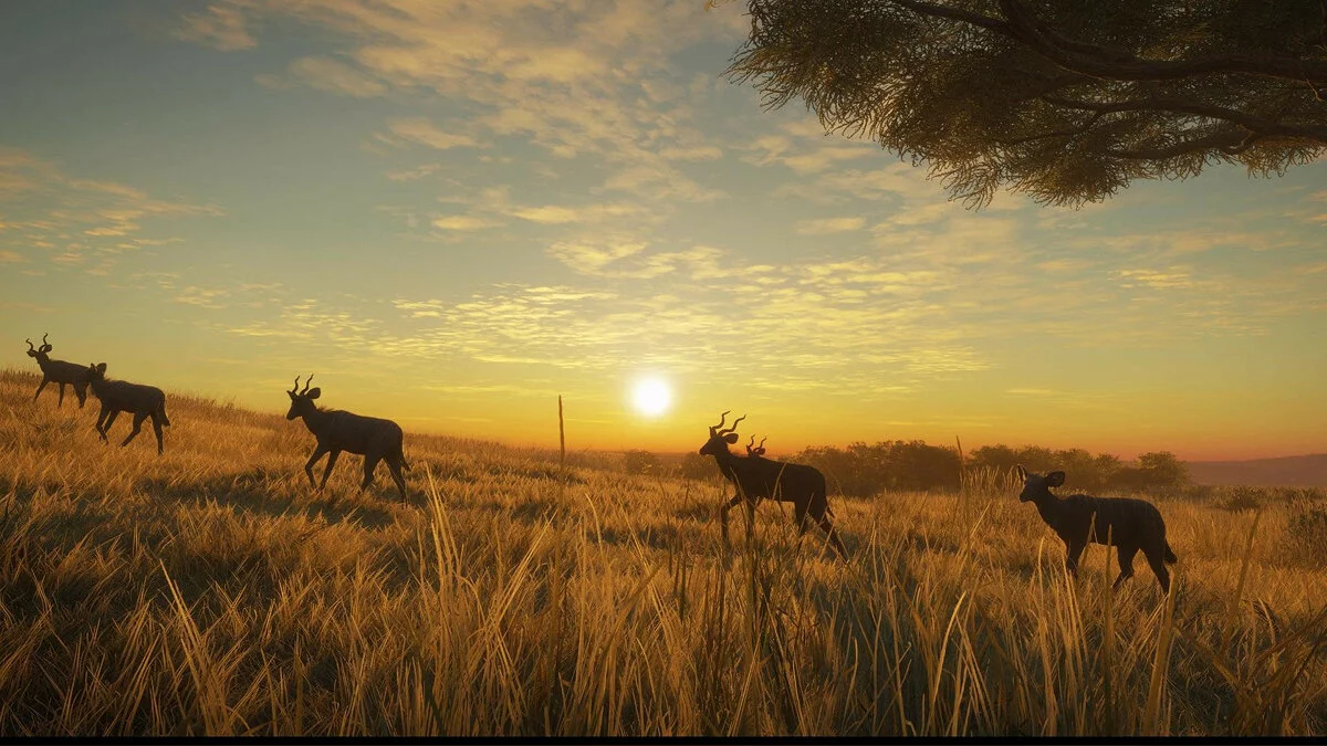 Скриншоты из theHunter: Call of the Wild / Картинка 29
