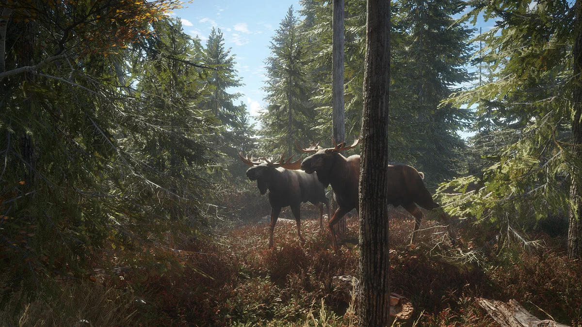 Скриншоты из theHunter: Call of the Wild / Картинка 36