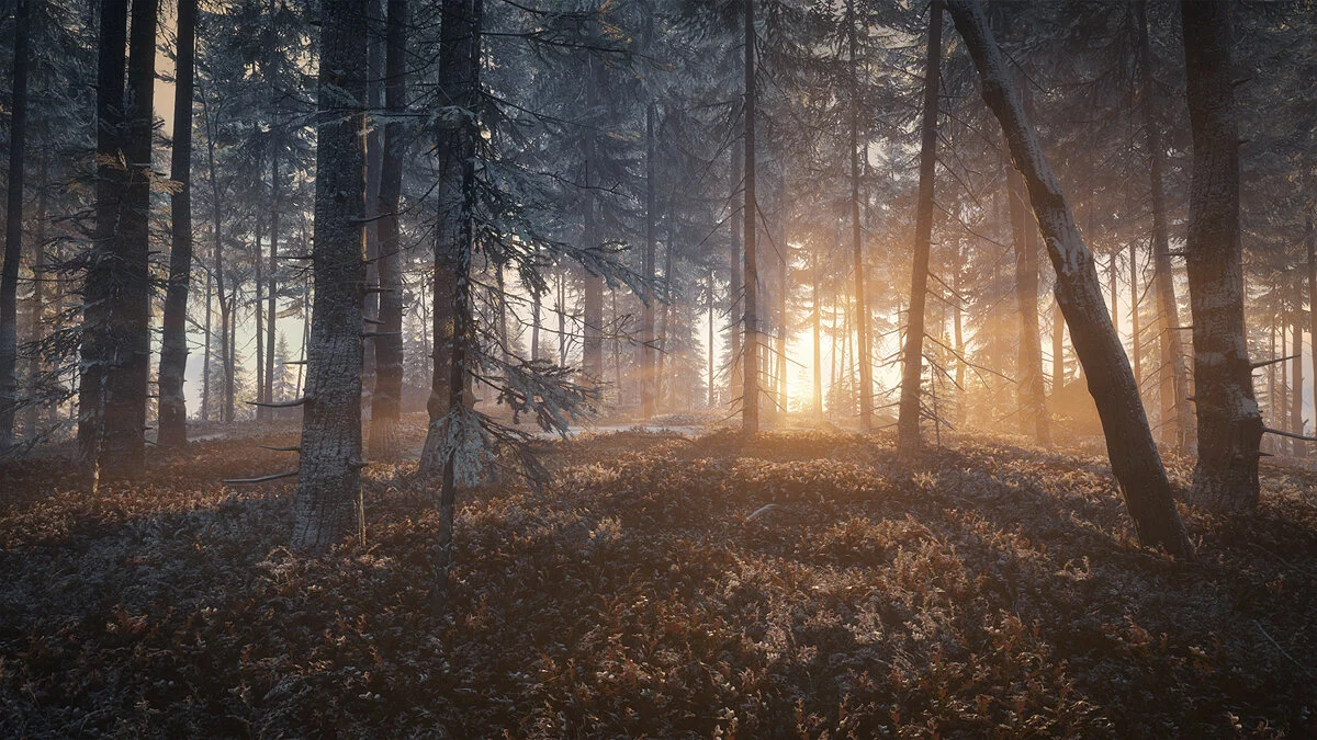 Скриншоты из theHunter: Call of the Wild / Картинка 39