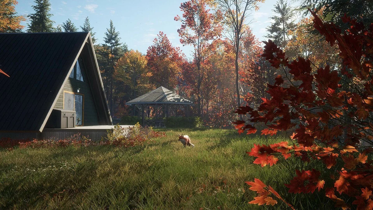 Скриншоты из theHunter: Call of the Wild / Картинка 54