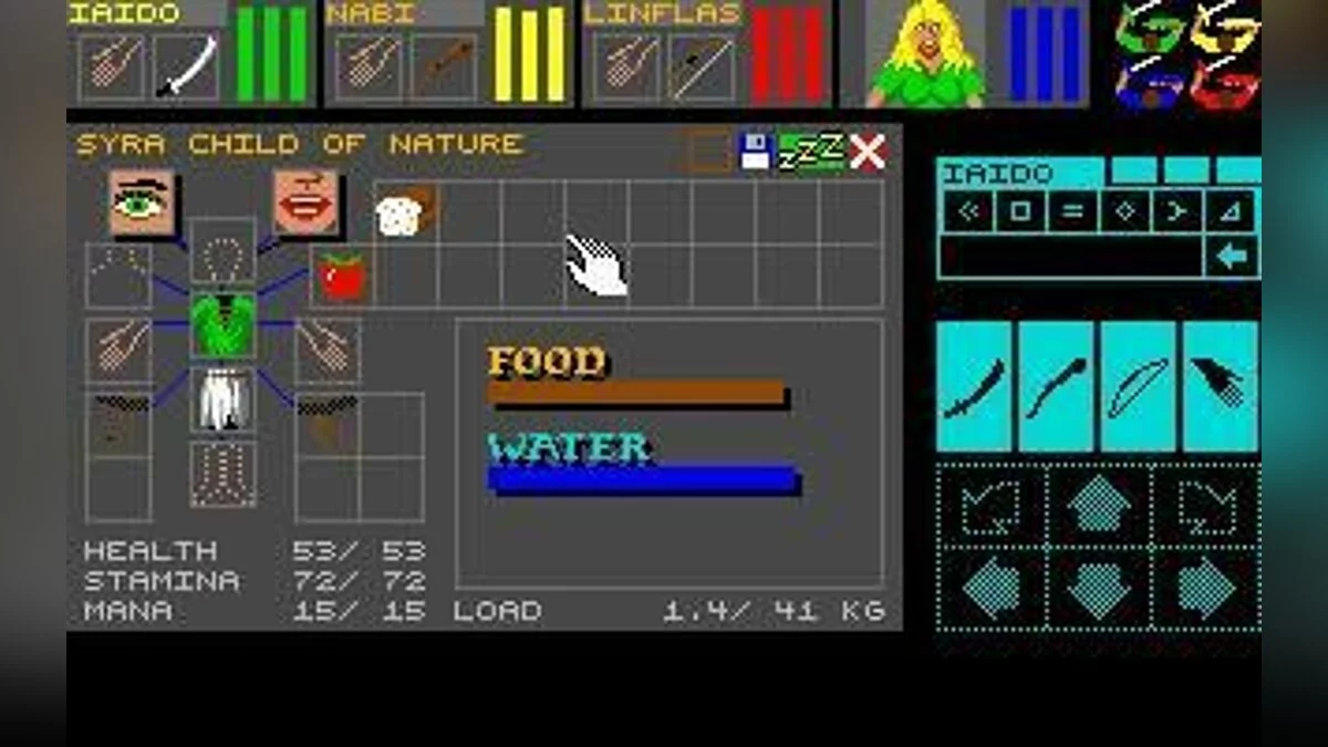 Скриншоты из Dungeon Master / Картинка 61