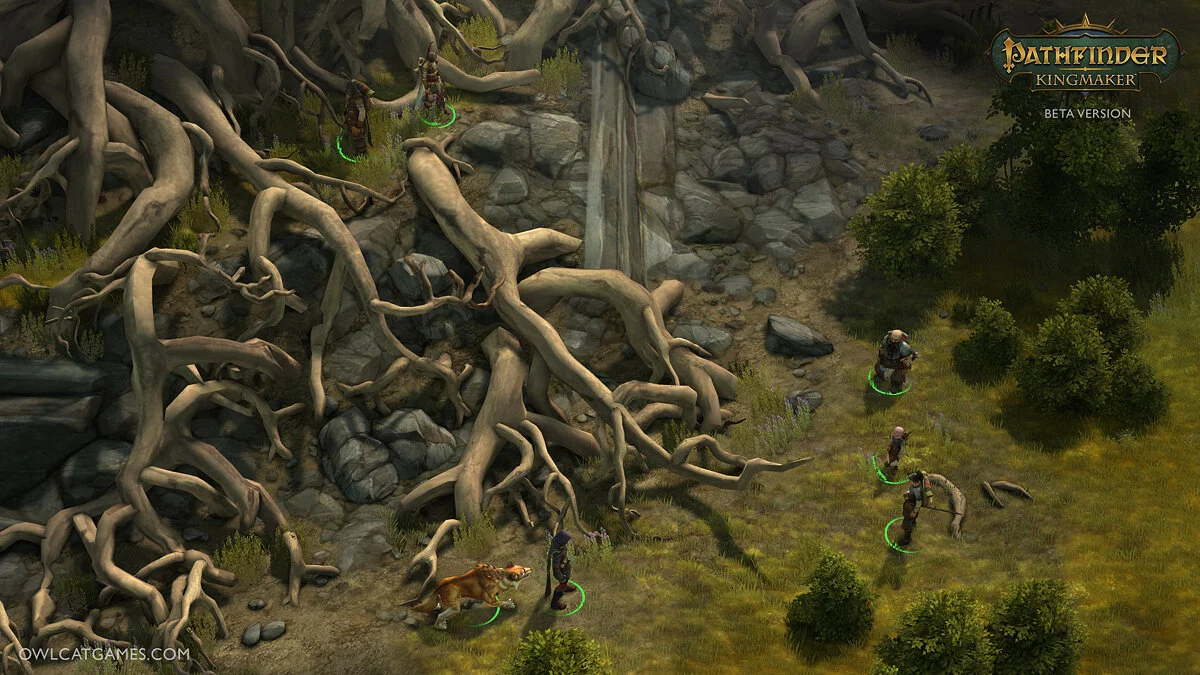Скриншоты из Pathfinder: Kingmaker / Картинка 18