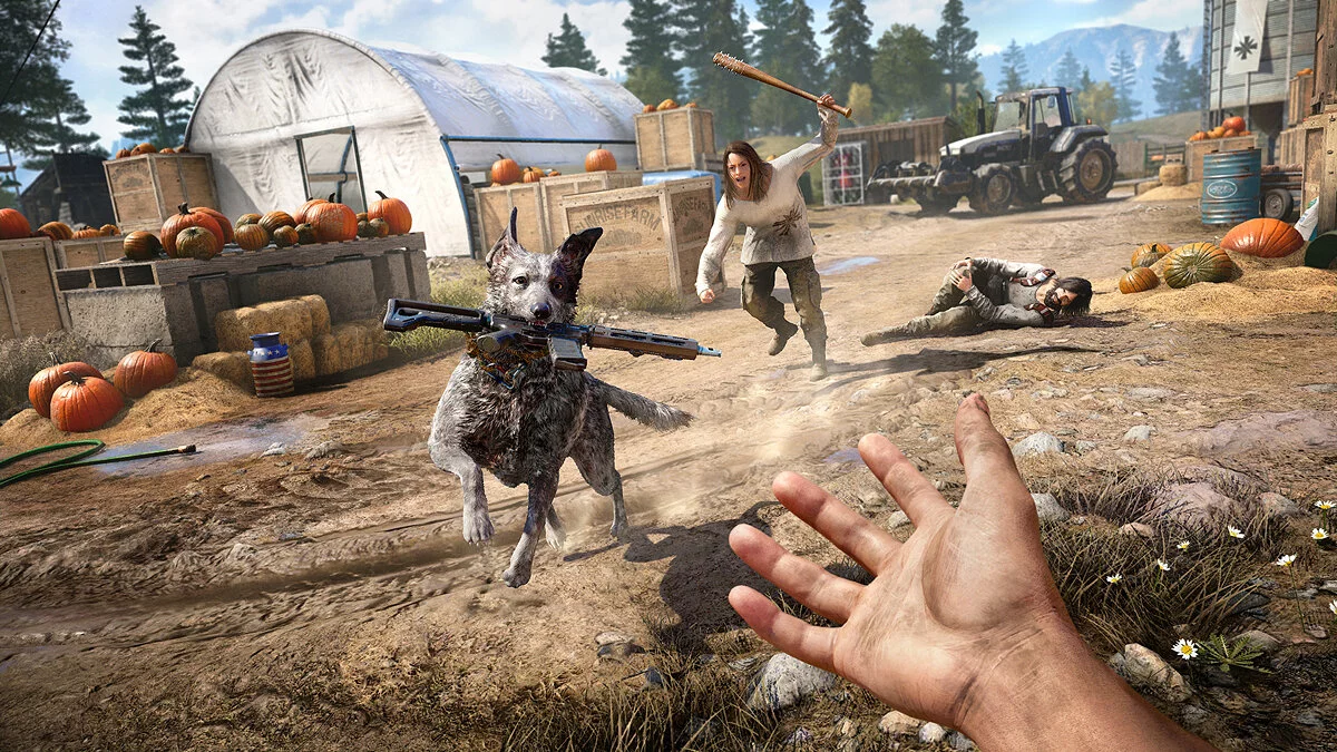 Скриншоты из Far Cry 5 / Картинка 15